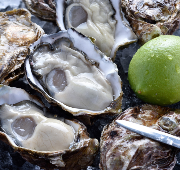 食べて歩いたおいしい広島。―街の編集者×食の編集者の本音トーク―